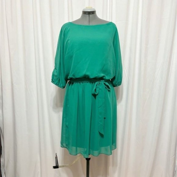 Paperdoll NWOT Sz 1X Jade Dolman 3/4 Sleeves Elasticized Cuff Lined Dress - Picture 2 of 5